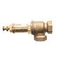 Ionic Systems 1/2in. Brass Pressure Release Valve R0858